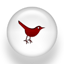 Follow us on Twitter