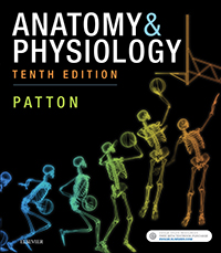 Patton Anatomy & Physiology