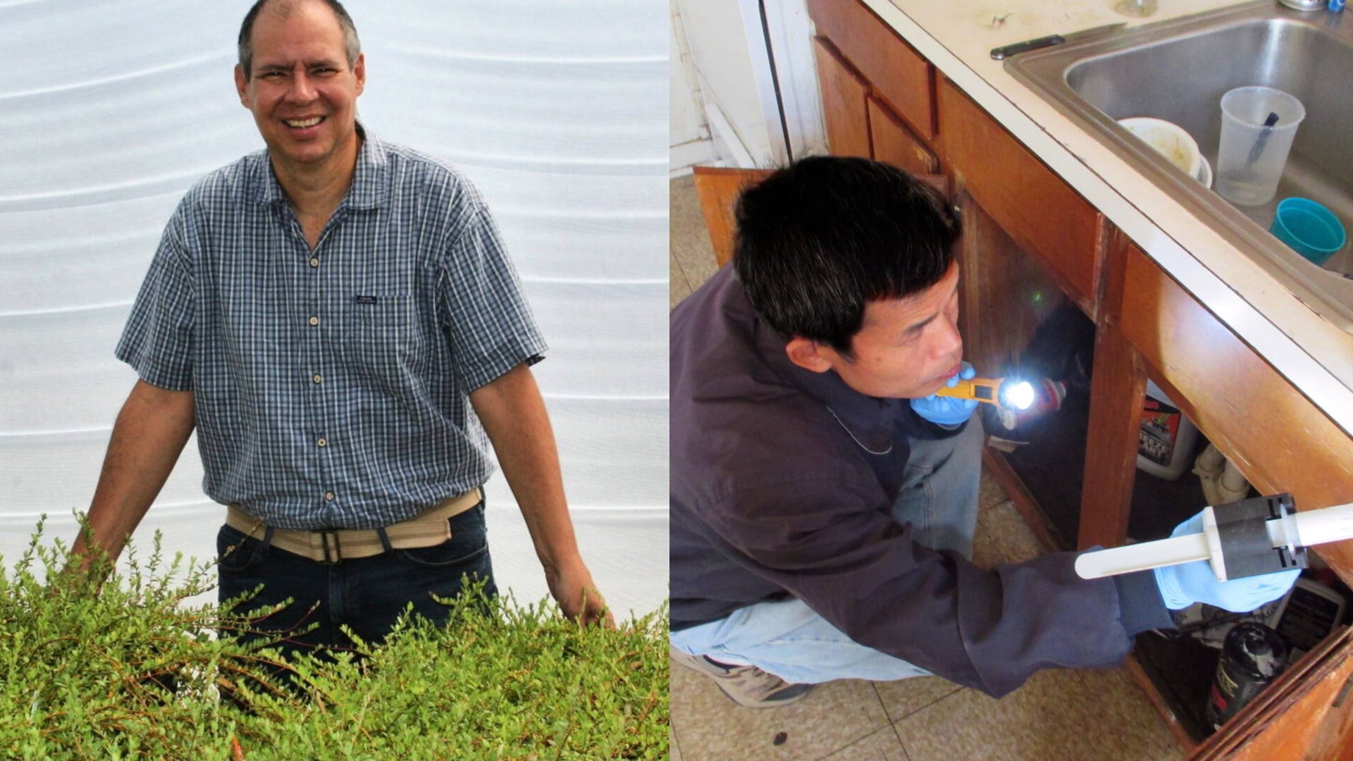 Photo of SEBS entomologists