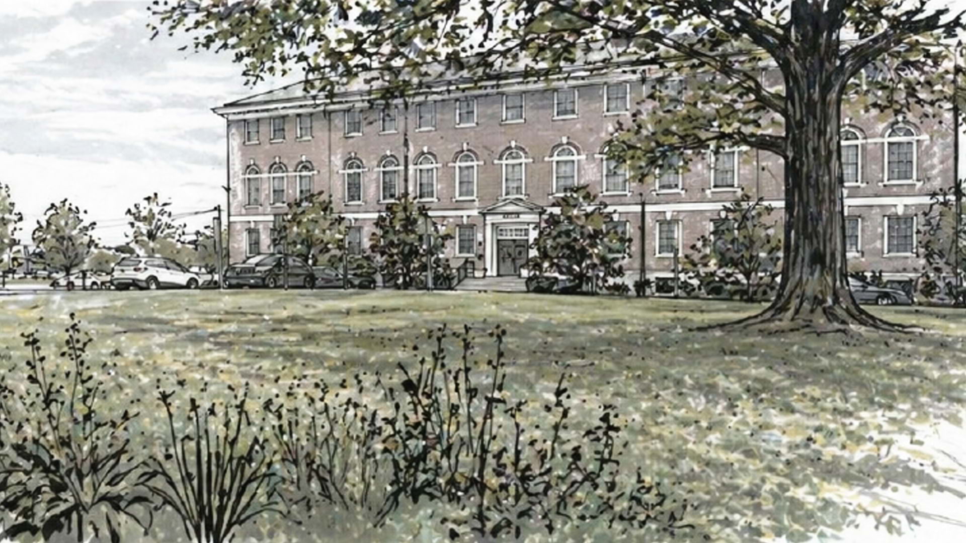 Cook campus as arboretum
