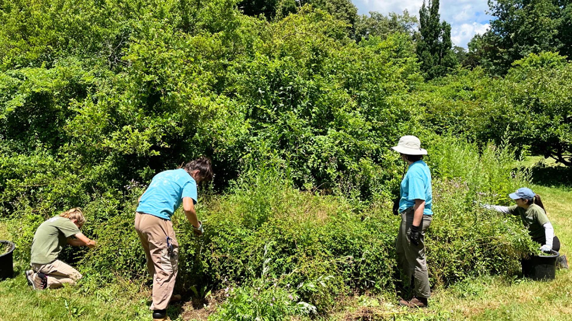Rutgers Gardens students pruning trees photo