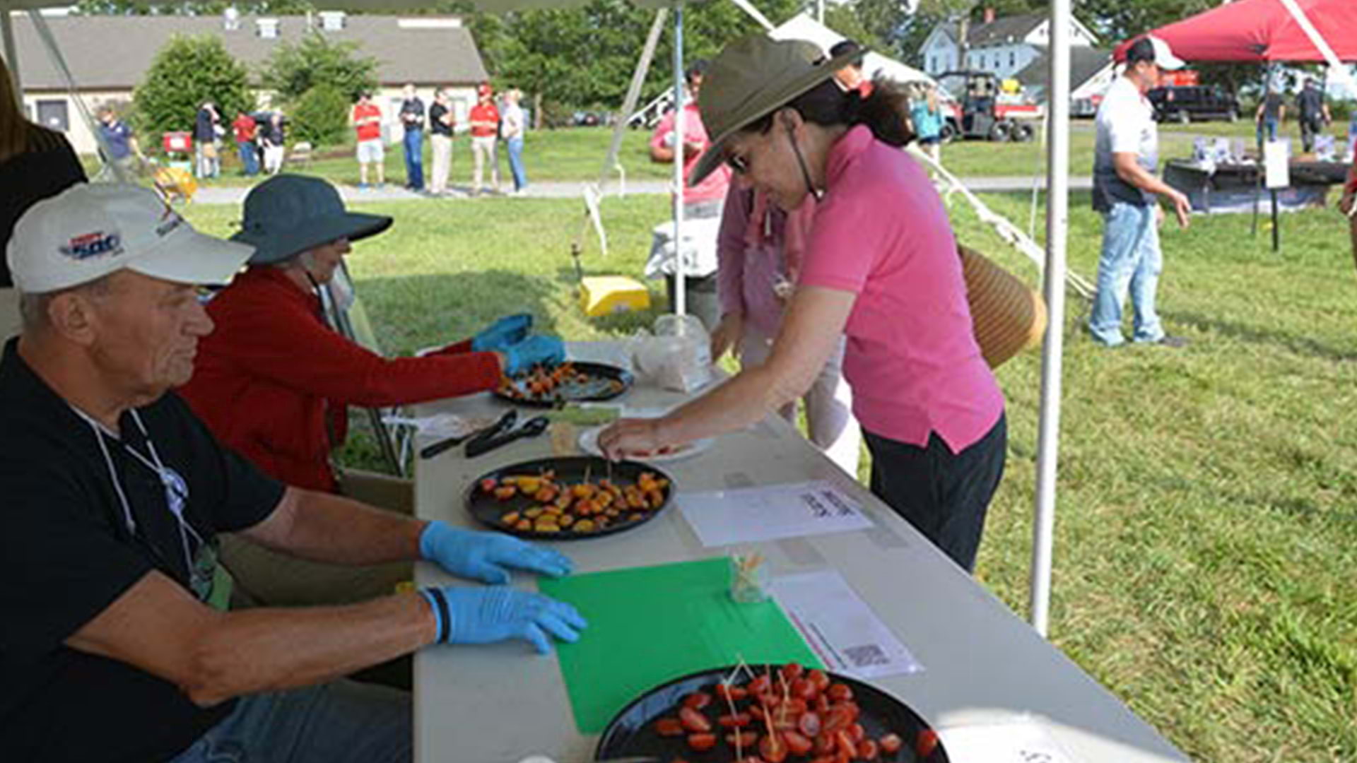 Tomato Tasting