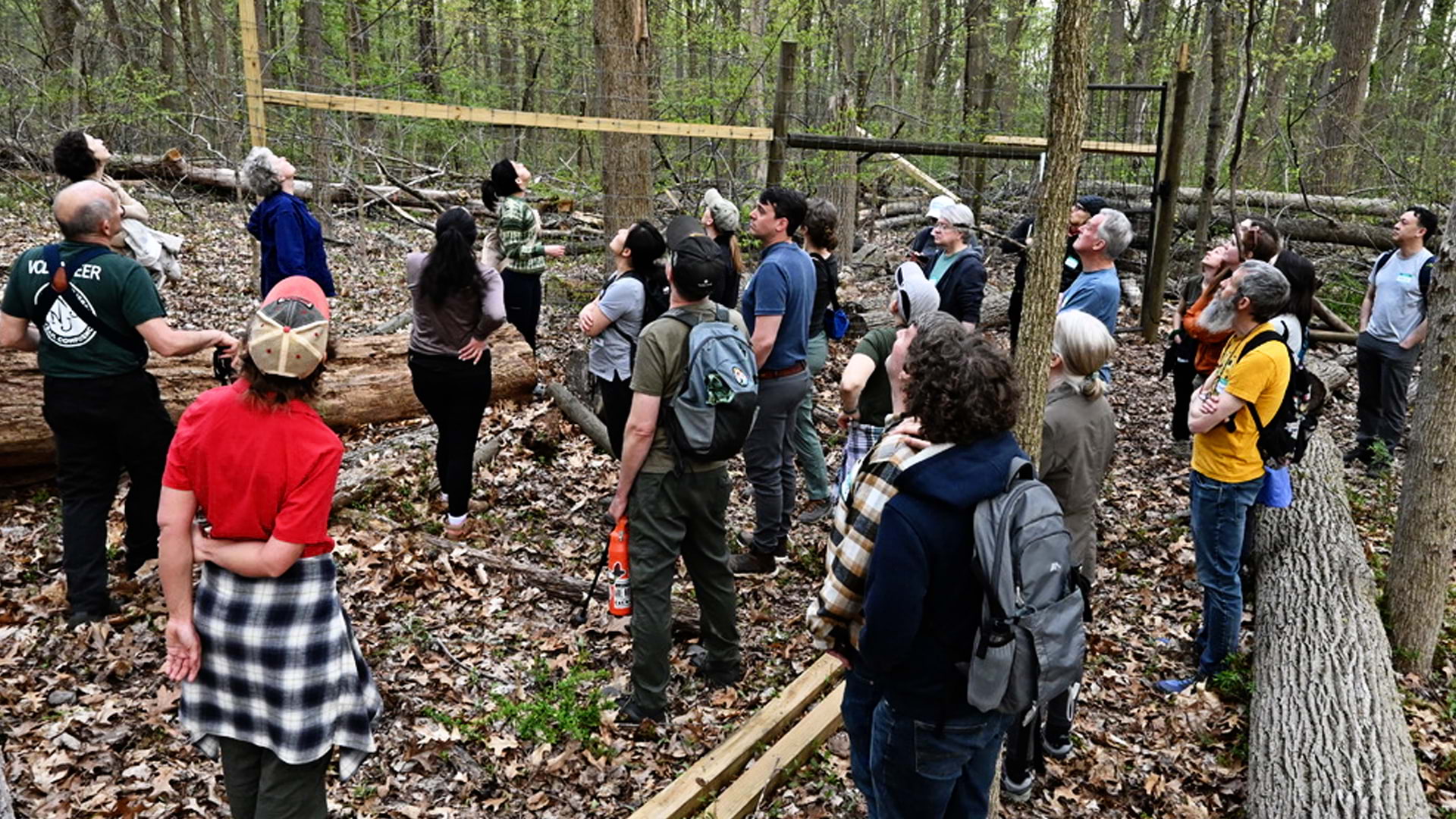 A group of people in the woods