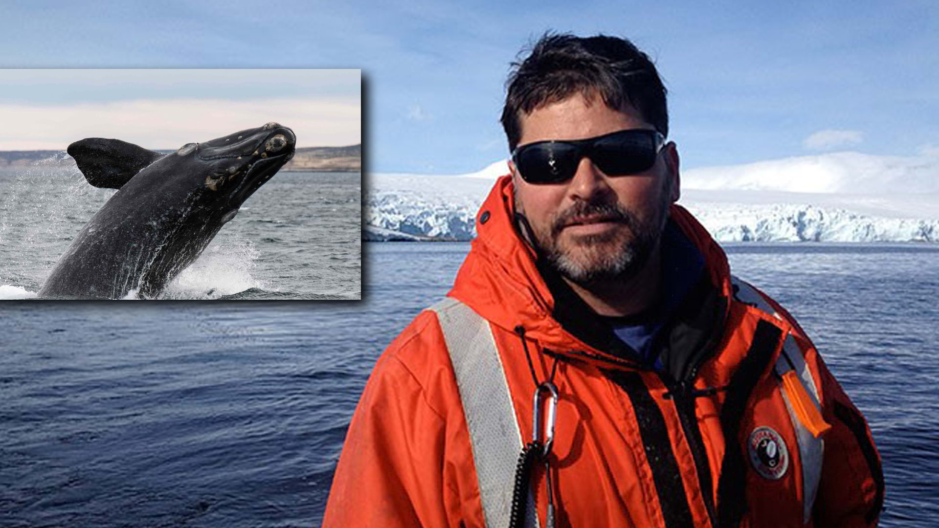 Prof. Josh Kohut with whale inset