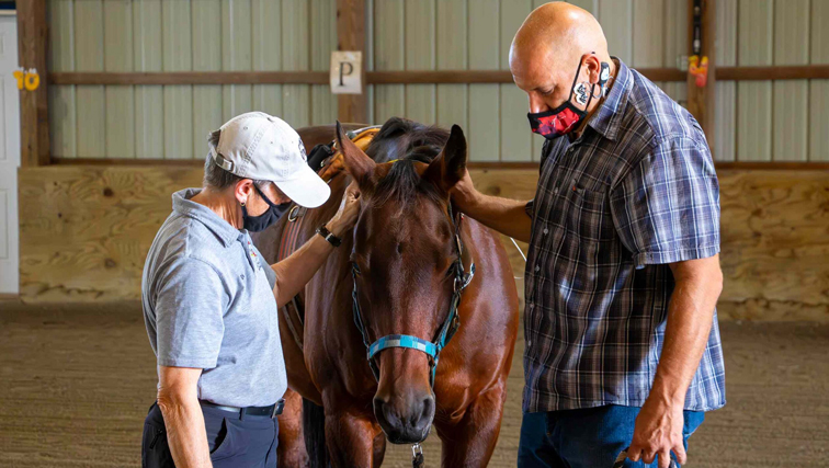 Photo of veterans and a horse