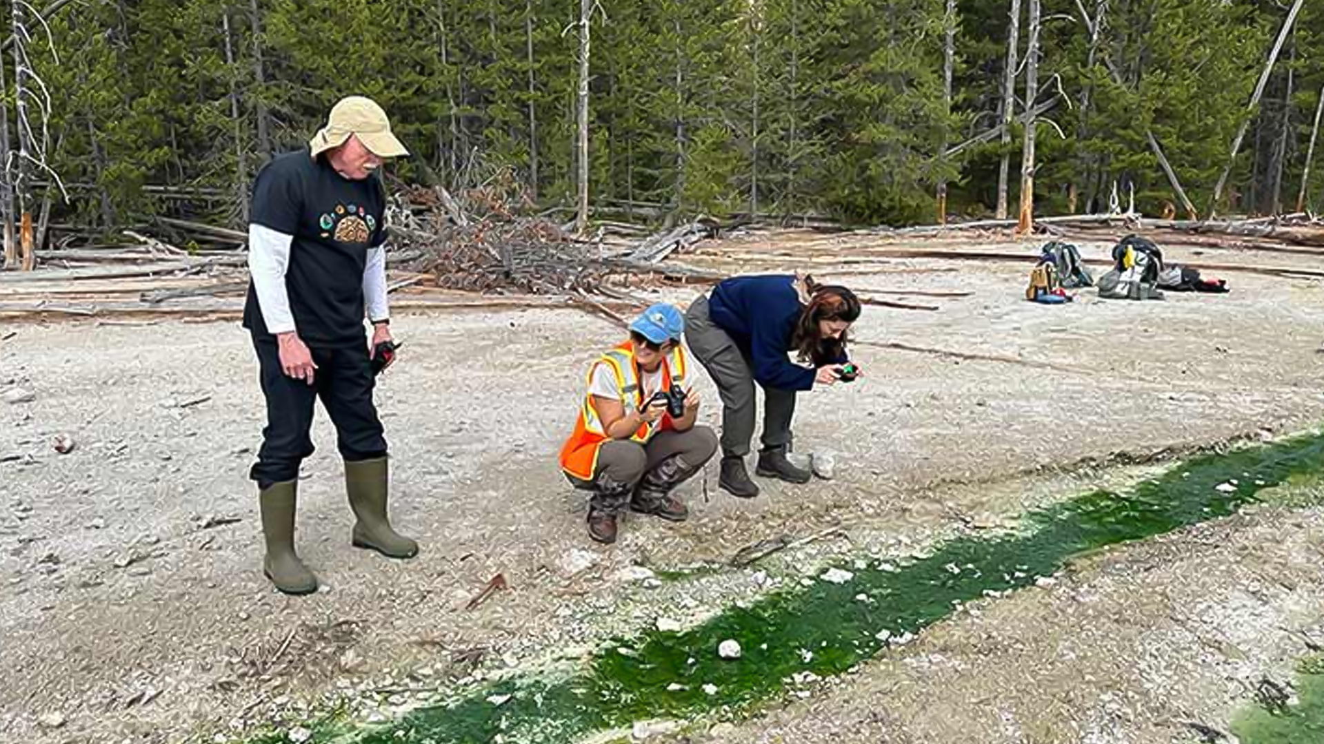 Researchers at Yellowstone National Park