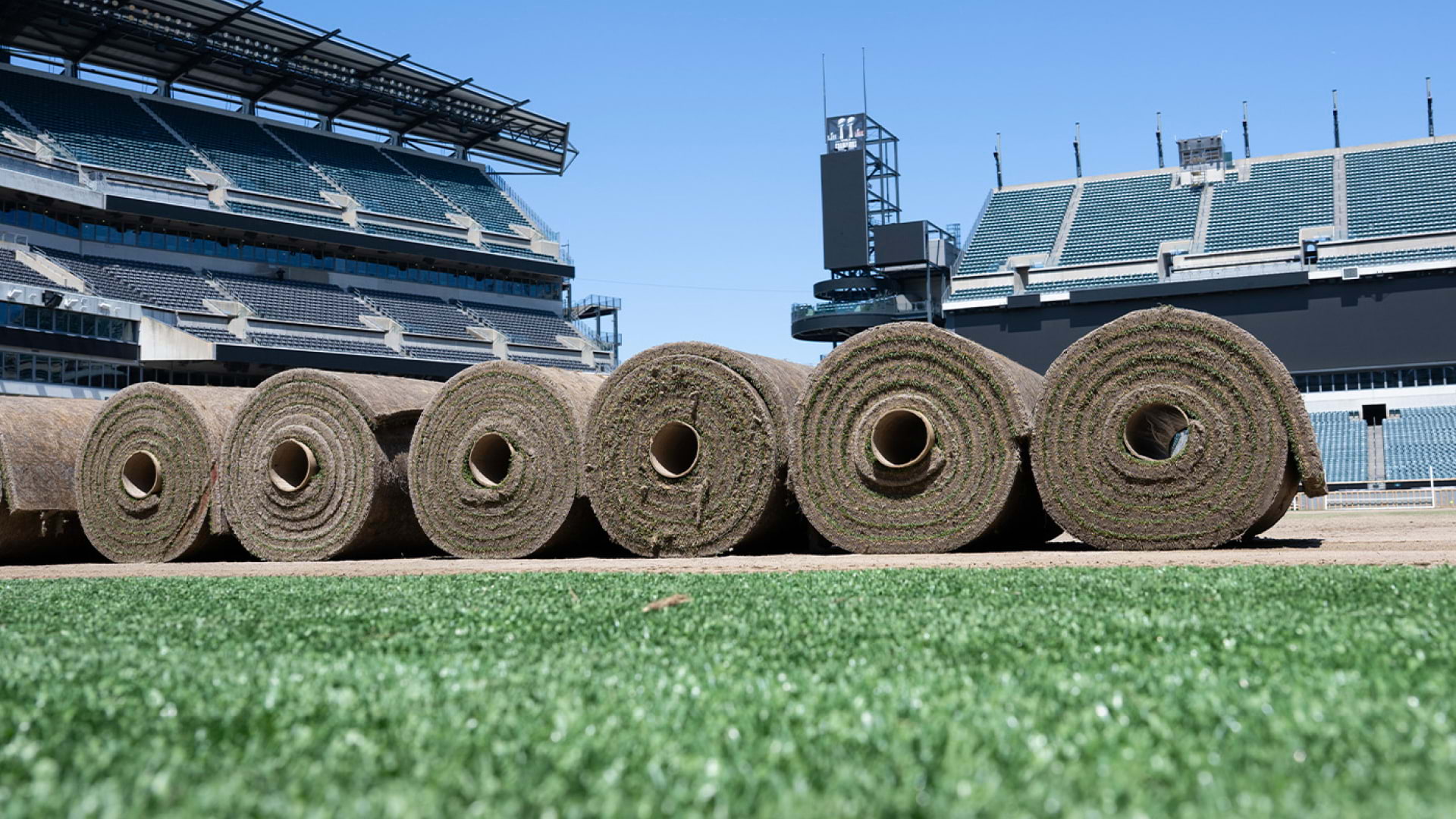 Rutgers turfgrass