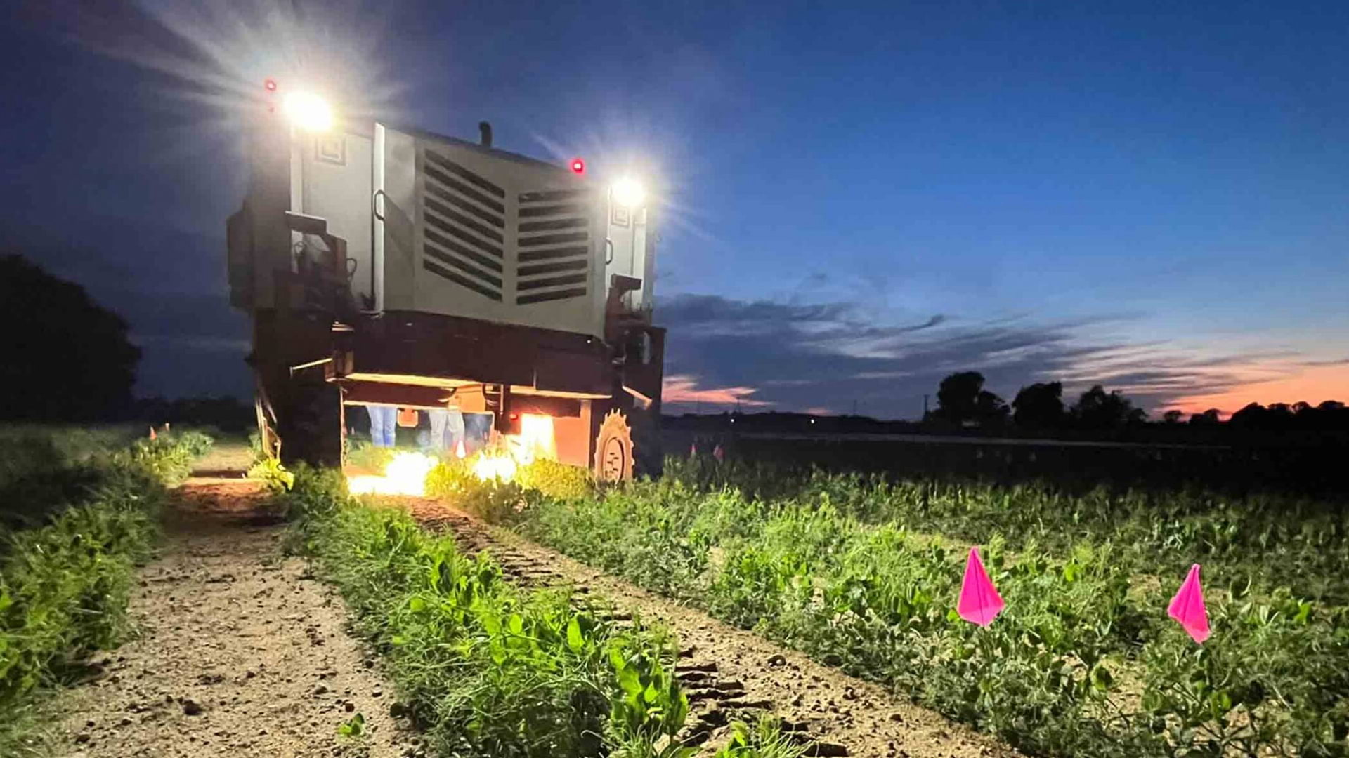 A high-tech device zapping weeds in a farm 